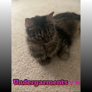 Lingerie/bras/panties!!